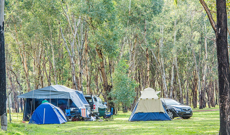 camping in national parks