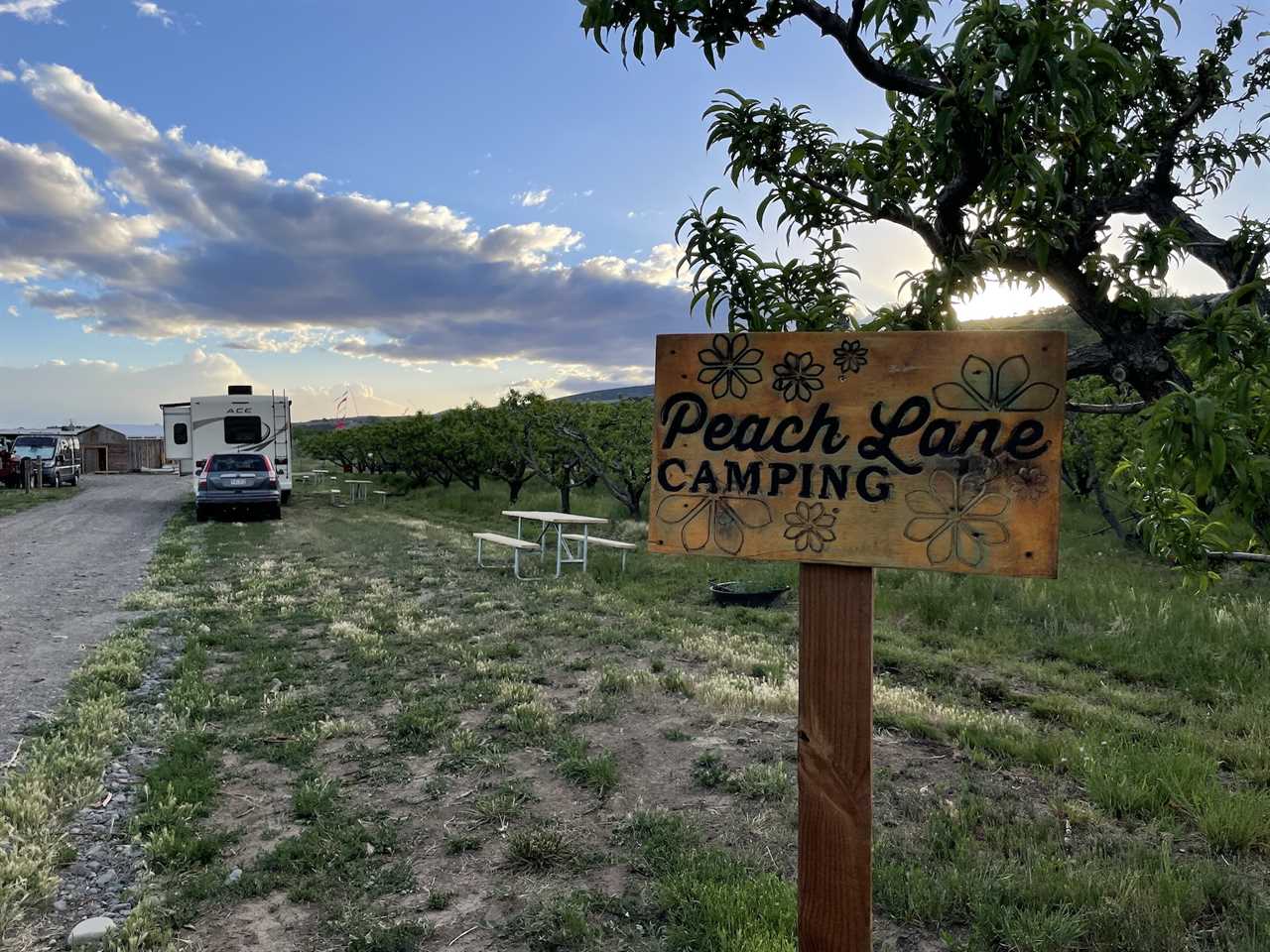 Paonia Colorado Orchard Camping. Image by Follow Your Detour.
