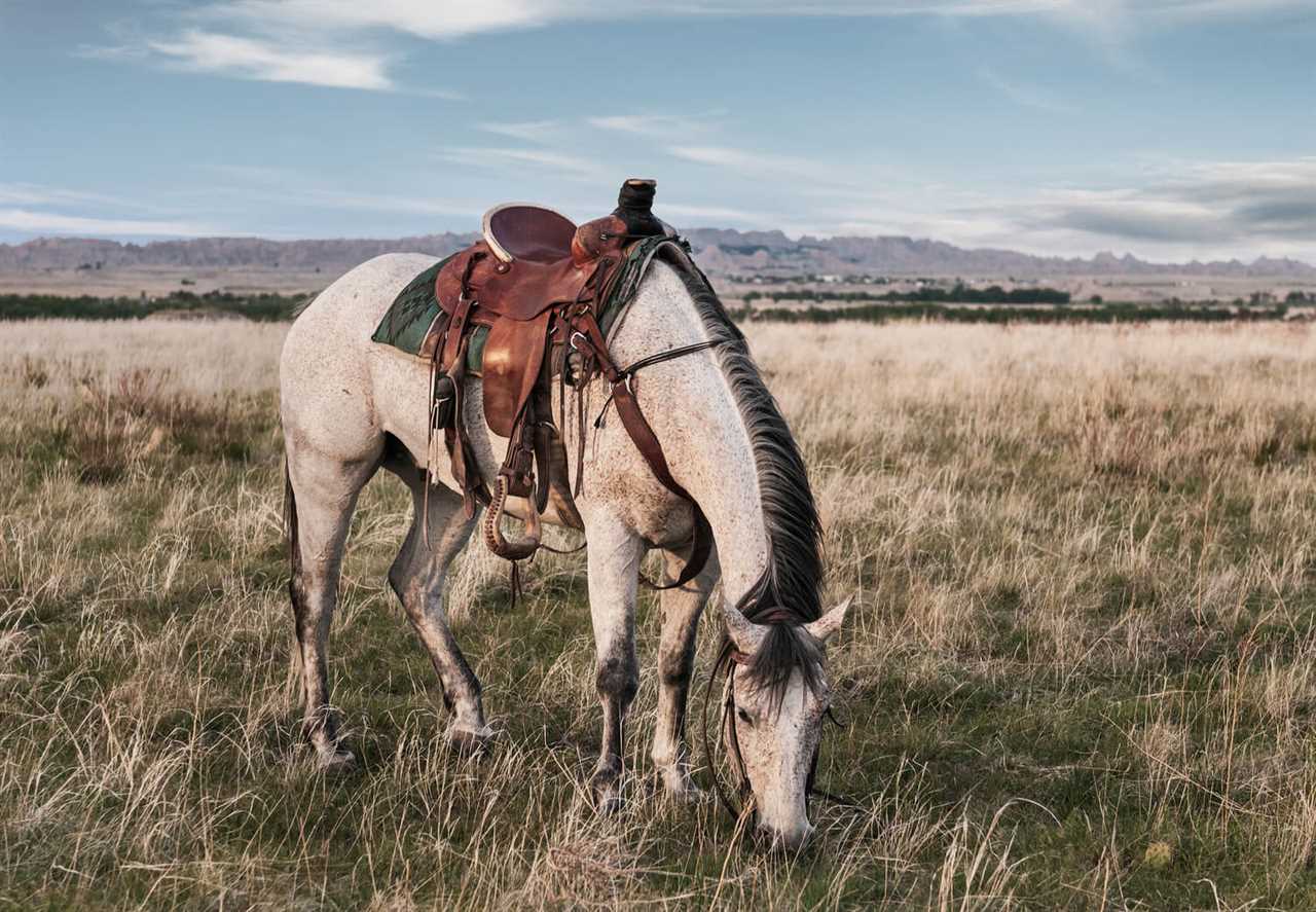 horseback-riding-guide-to-rving-badlands-national-park-03-2022