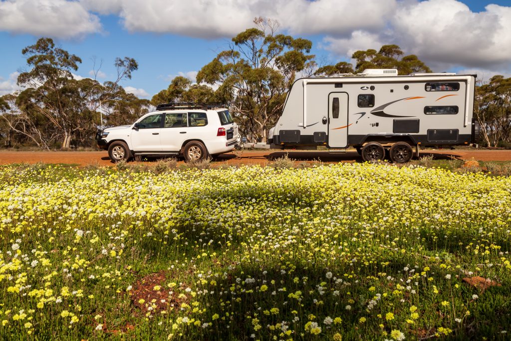 Travel Trailer on Tour of Wildflowers