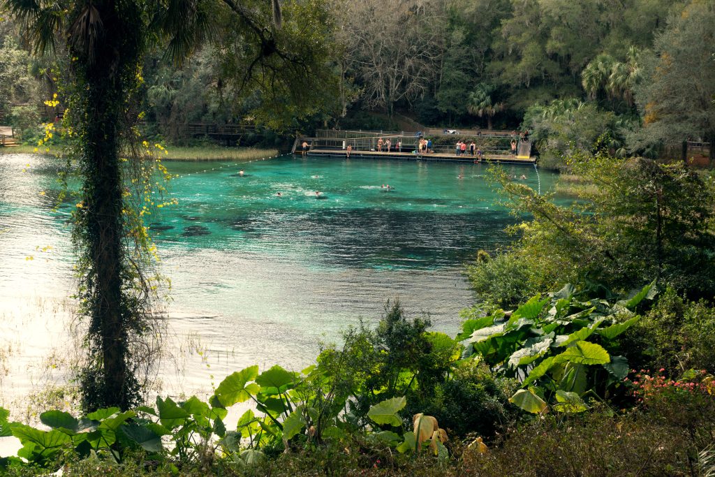 Rainbow Springs Florida