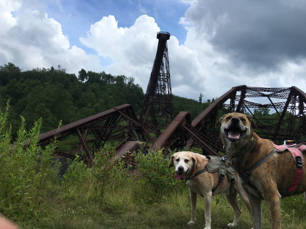 2 Traveling Dogs on Kinzua Bridge