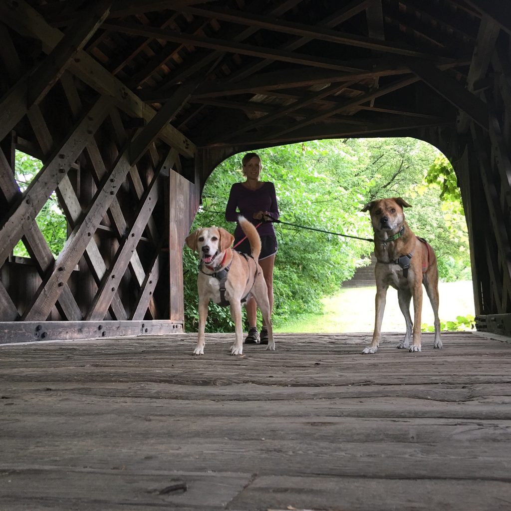 Vermont Covered Bridge with 2 Traveling Dogs