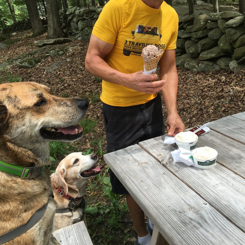 Ice Cream in Vermont with 2 Traveling Dogs