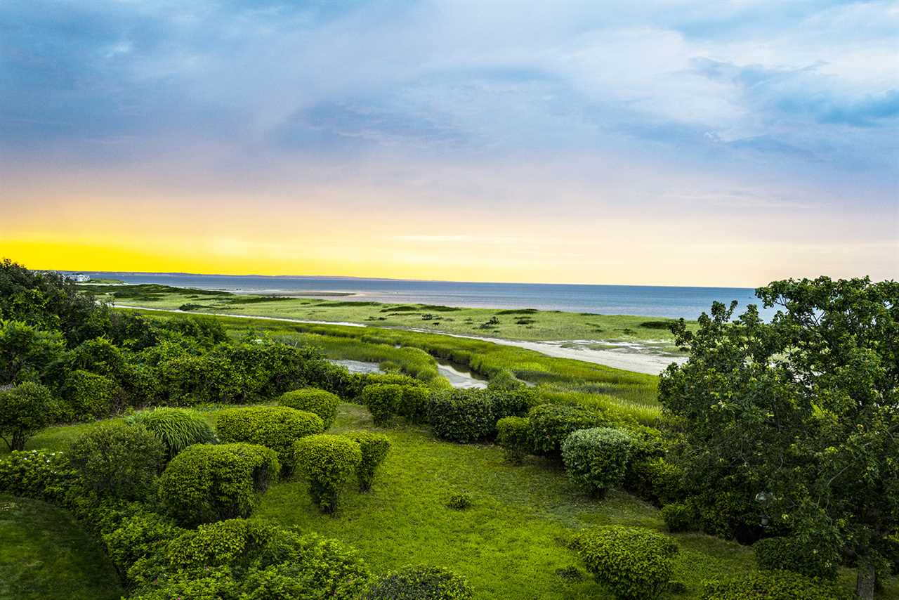 Brilliant ocean horizon with flaming sun and lush foliage.