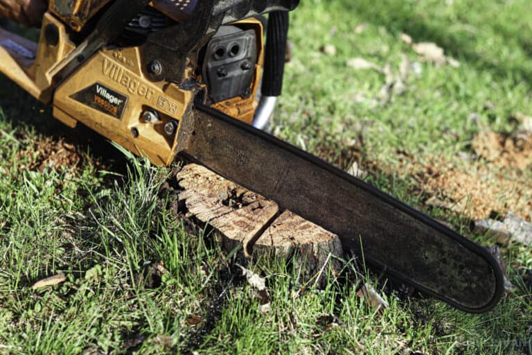 chainsaw cutting a tree stump