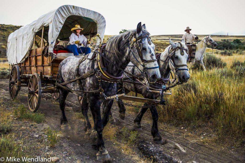 Oregon Trail Wagon Ride