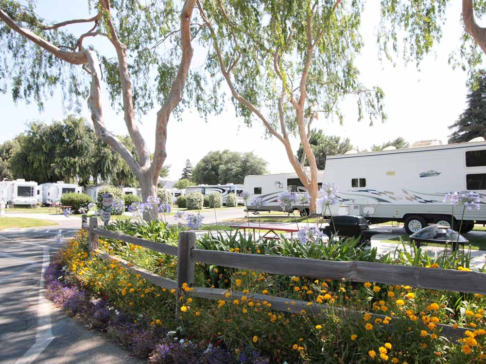 Trailers parked in an RV campground with greenbelts and flower bushes.