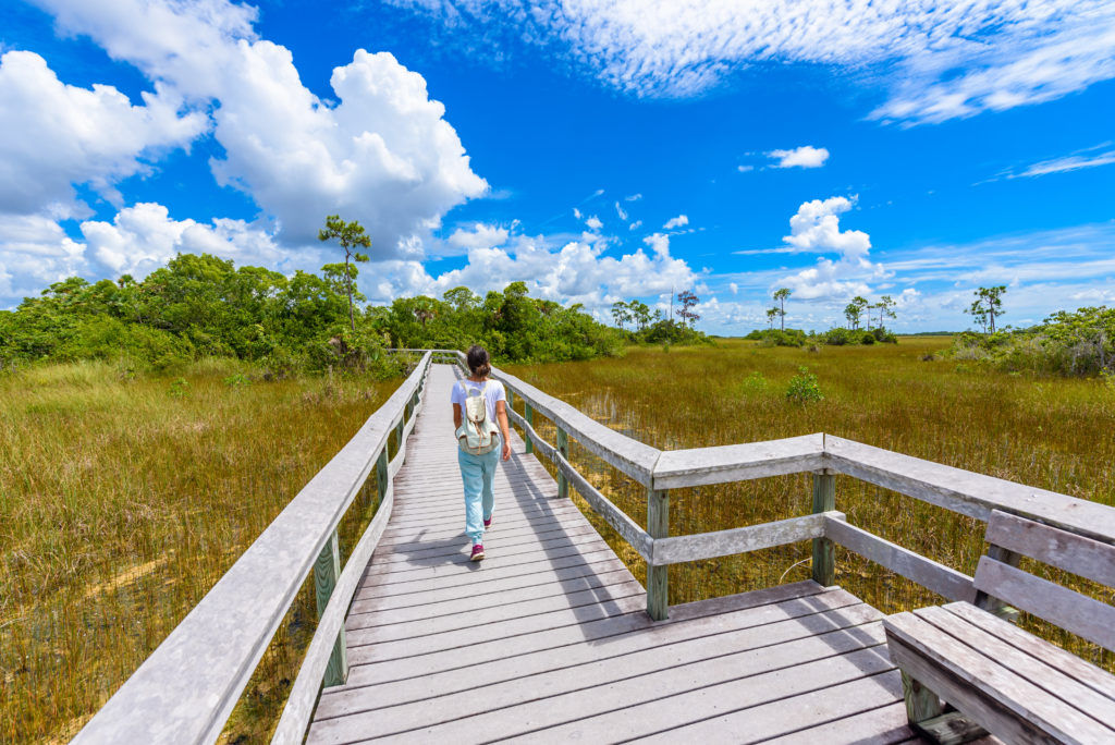 Hiking Everglades National Park