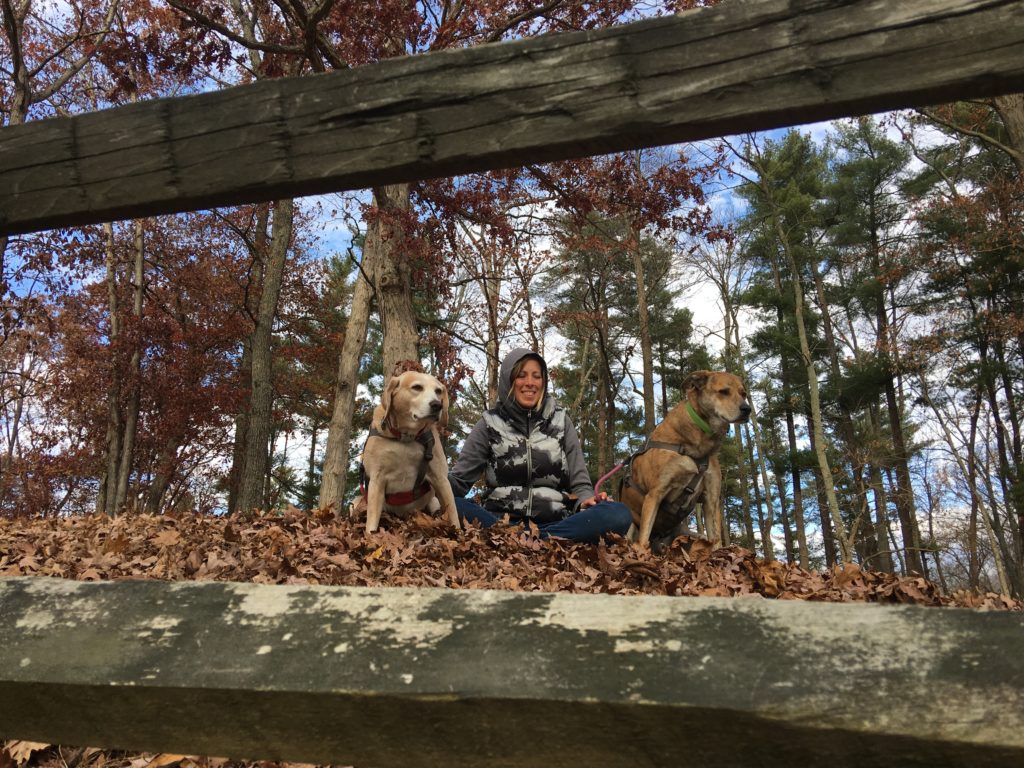 2 Traveling Dogs in Lincoln State Park, Indiana