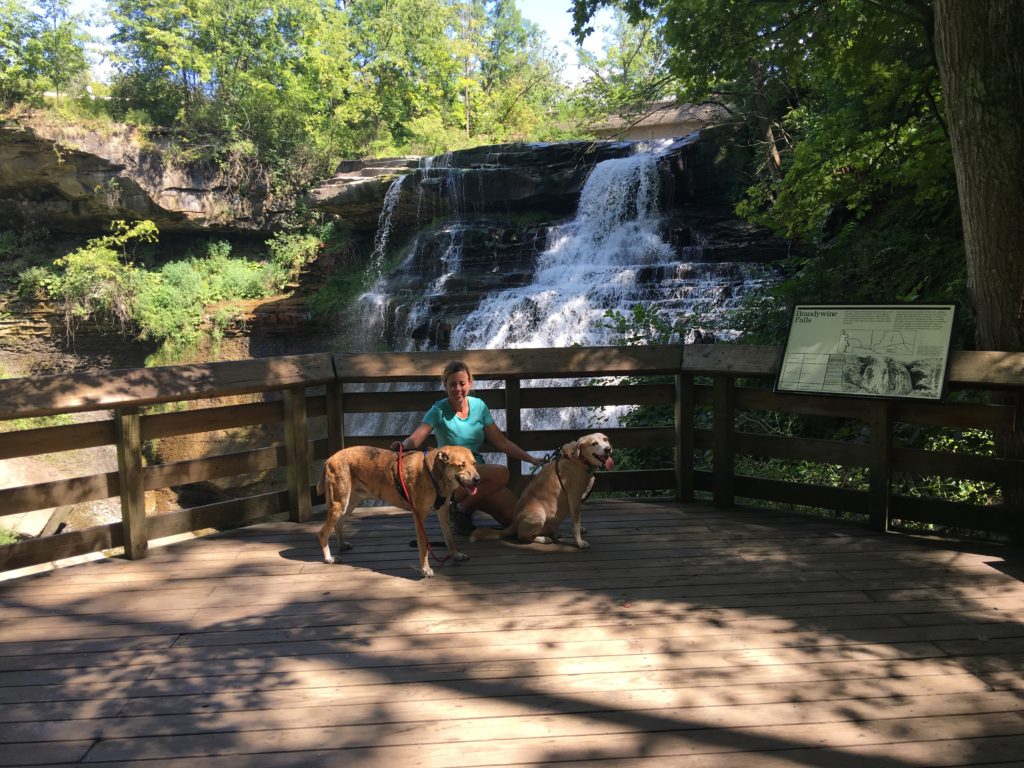 2 Traveling Dogs in Cuyahoga Valley National Park