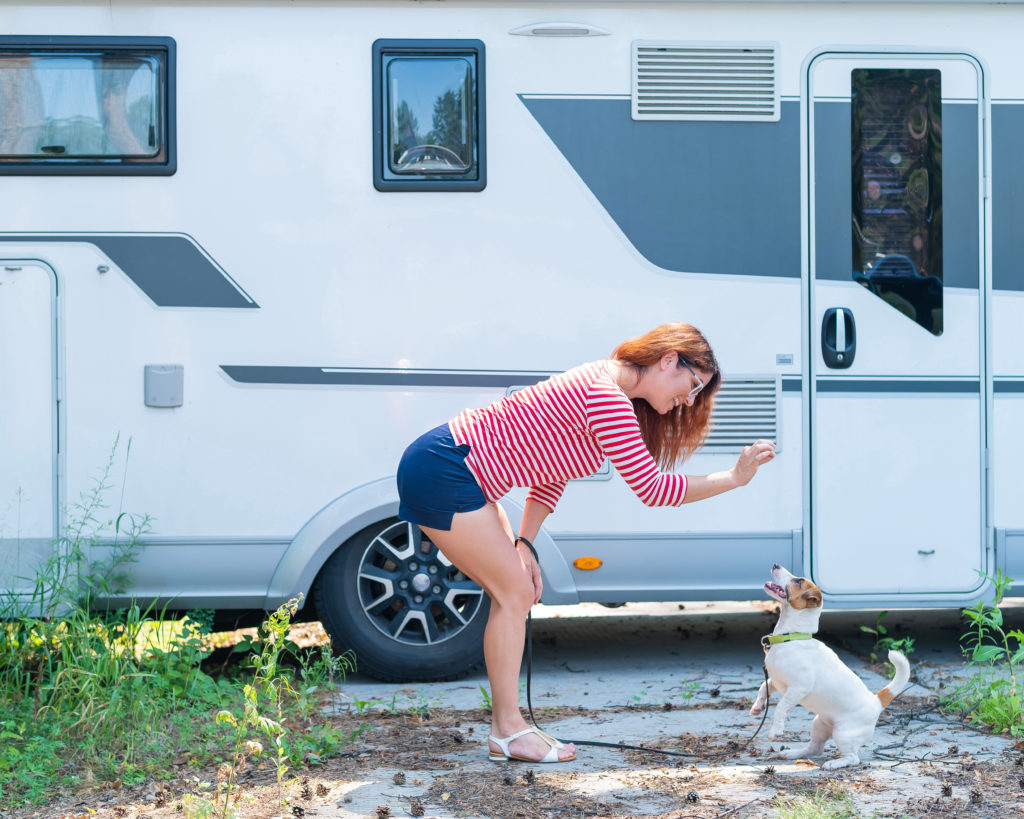 Dog Treat for Sitting Outside RV