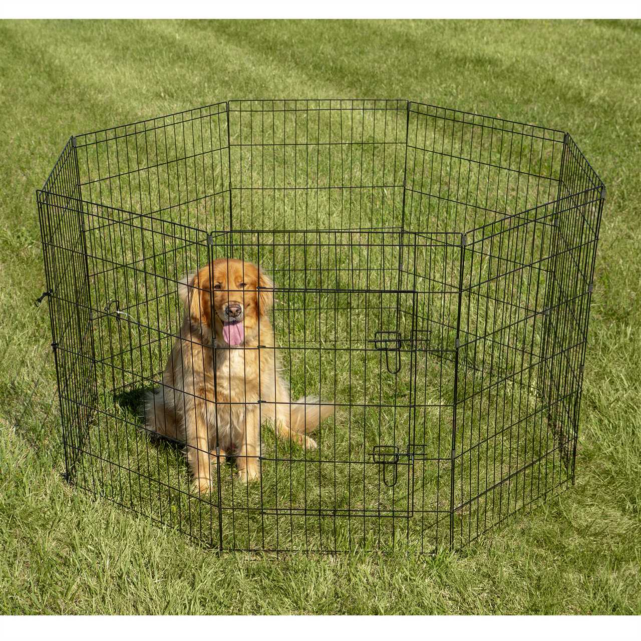 Pet Fence