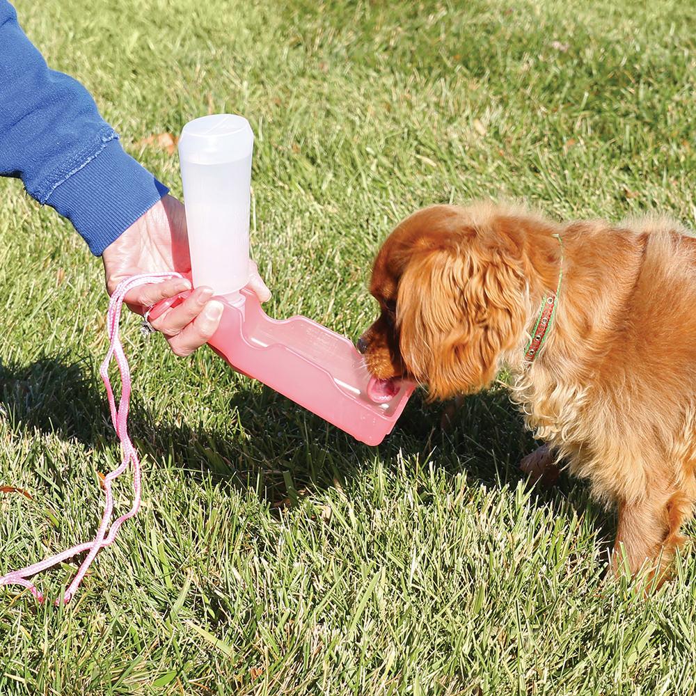 collapsible water bowl