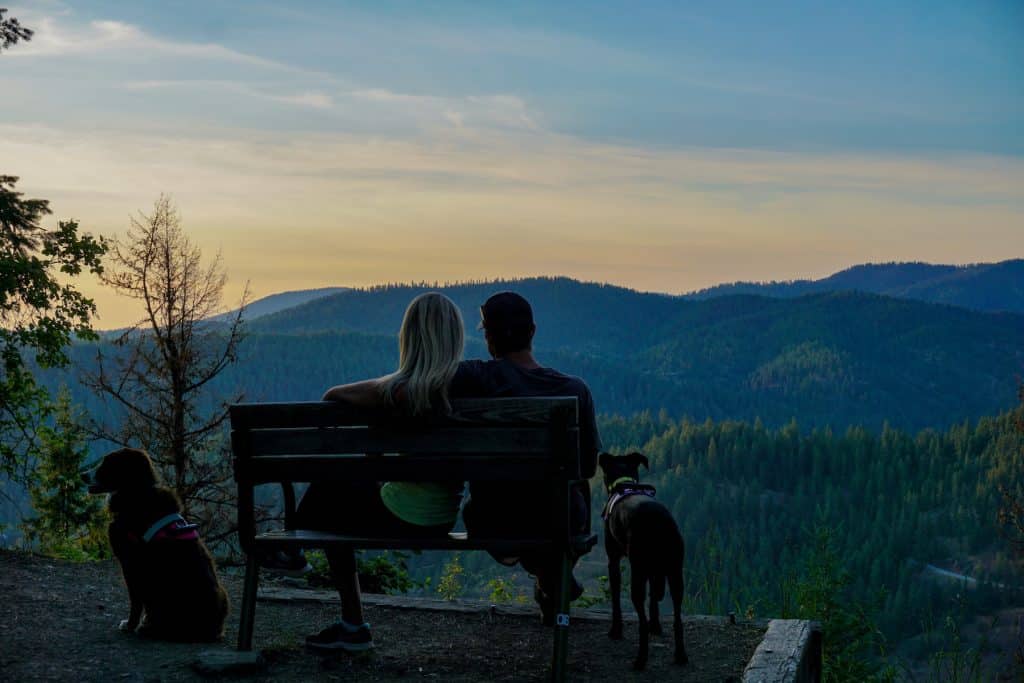 dog family hike