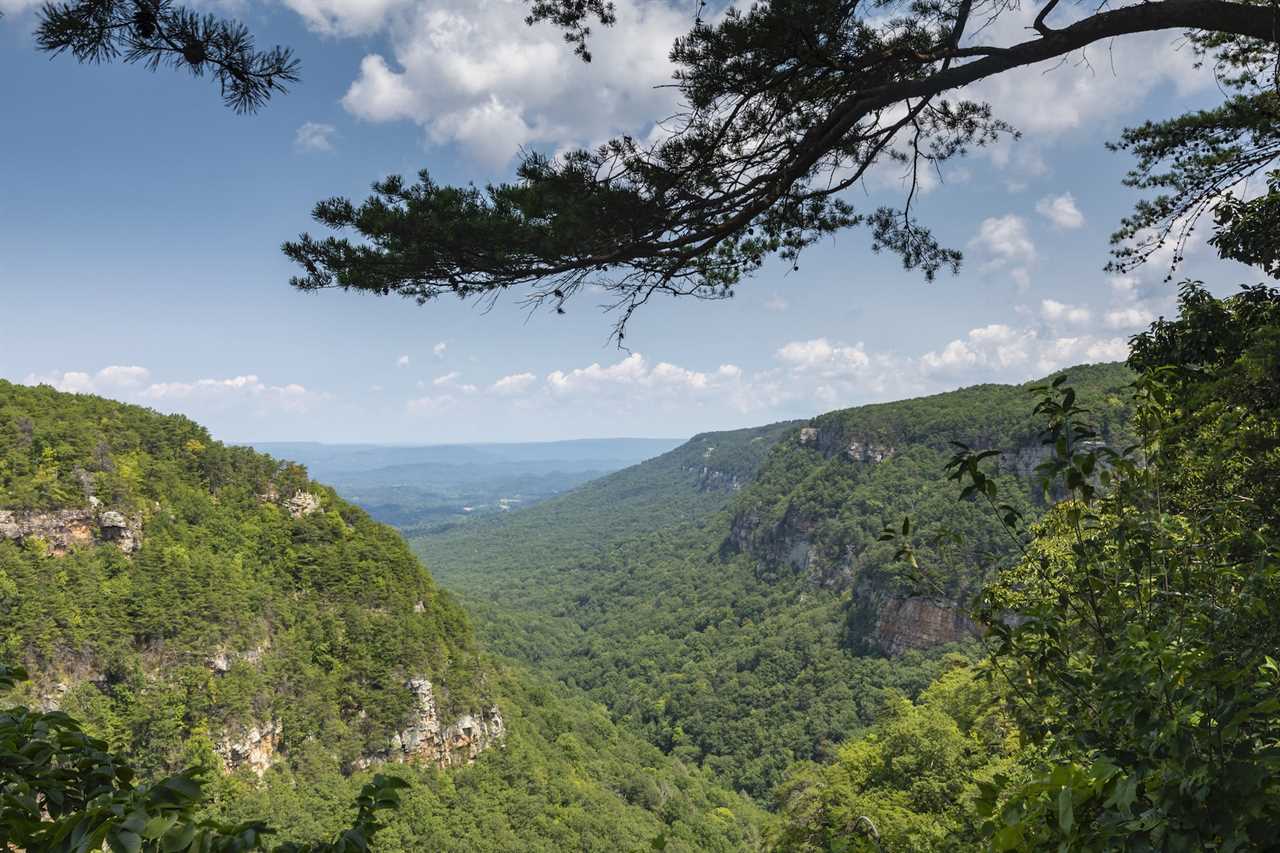 Cloudland CanyonA scenic view of a mountain canyon.