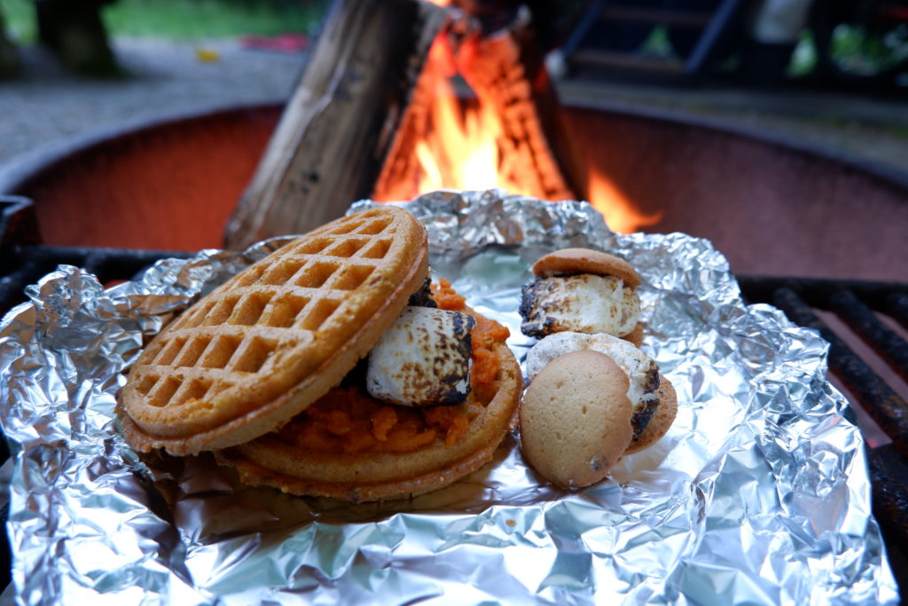 Dog-Friendly S'mores by 2 Traveling Dogs