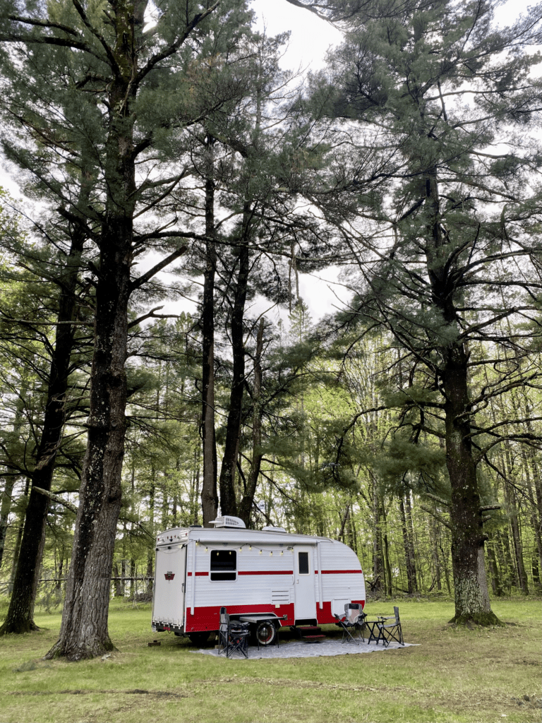 Retro Camper in Trees