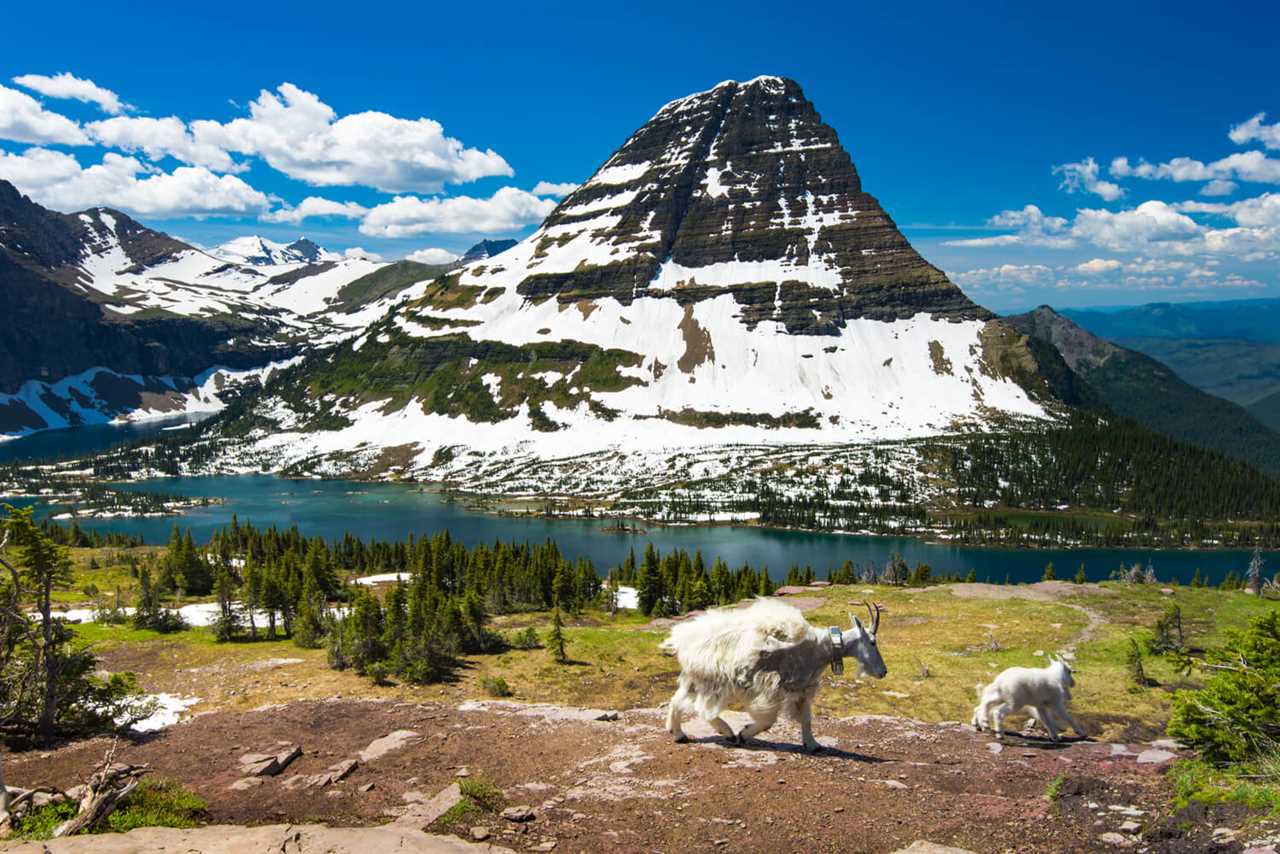 hidden-lake-rving-glacier-national-park-06-2022 