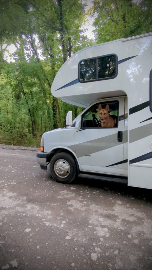 Summer RVing with Dog