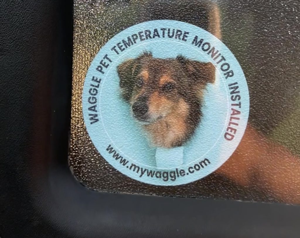 Waggle Pet Temperature Monitor Badge