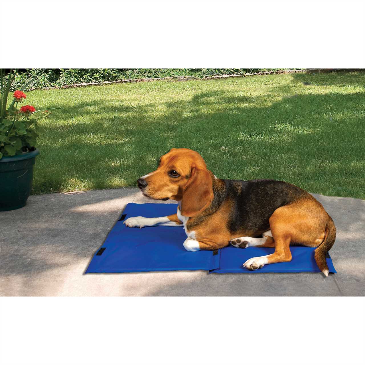 Pet Cooling Mats