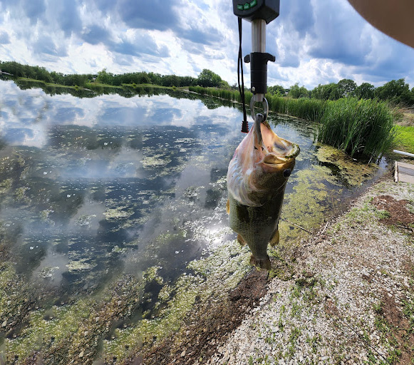 A bass fish at the end of a scale. 