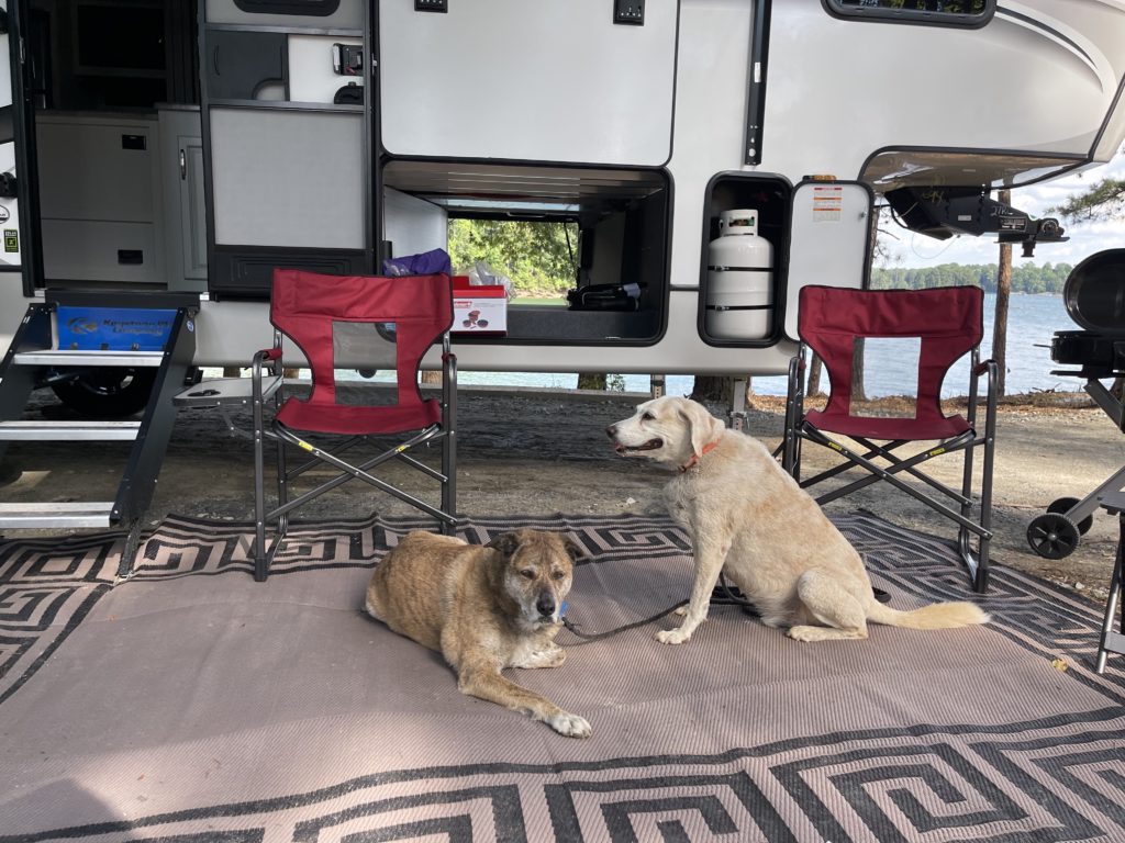 2 Traveling Dogs at Dog-Friendly Good Sam Campground