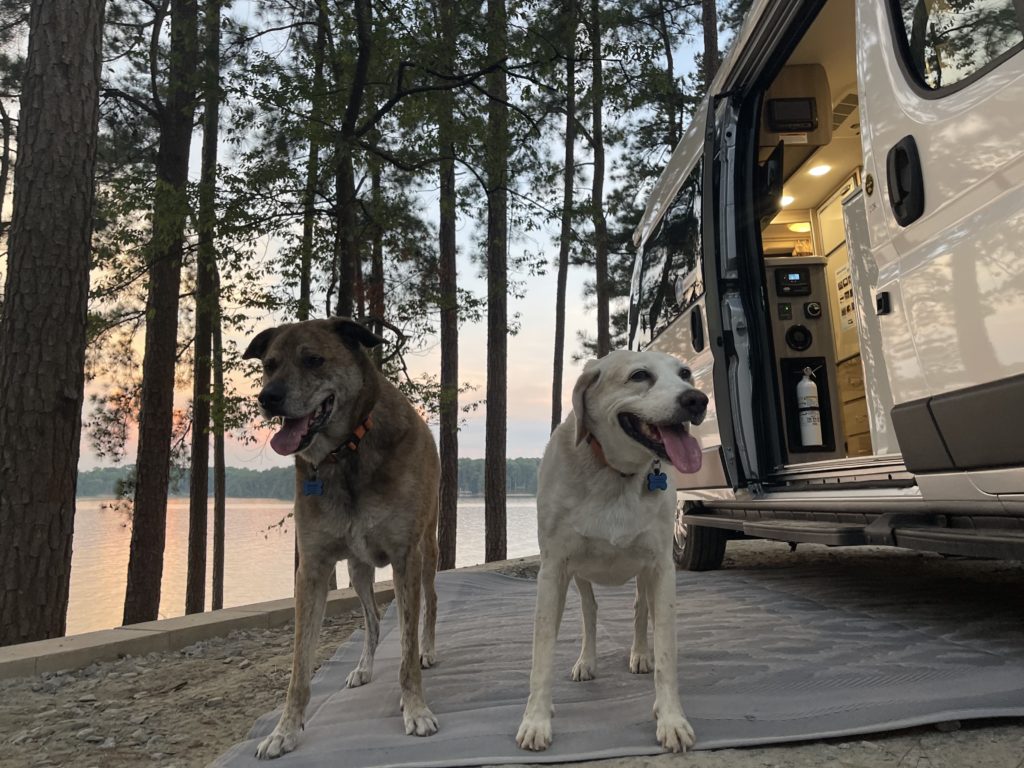 Dog-Friendly Campgrounds with 2 Traveling Dogs