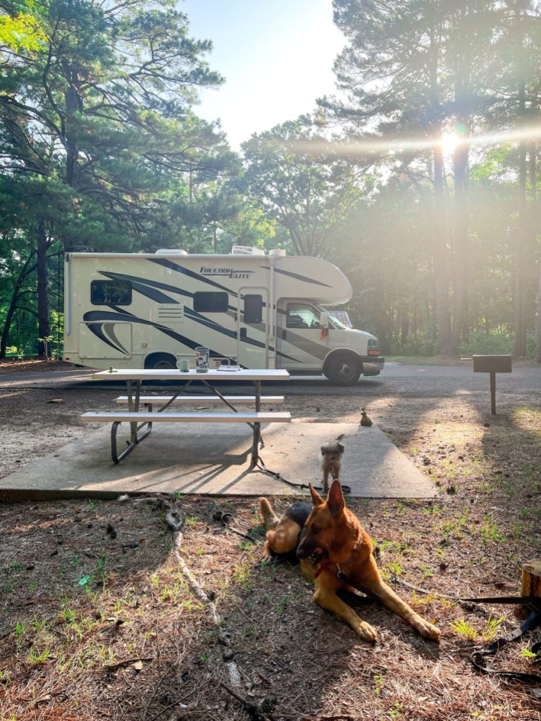 RV Camping with Dog