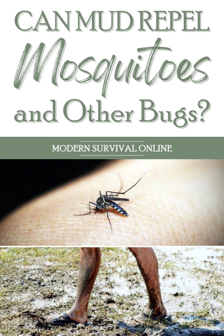 mud mosquitoes repellent pinterest