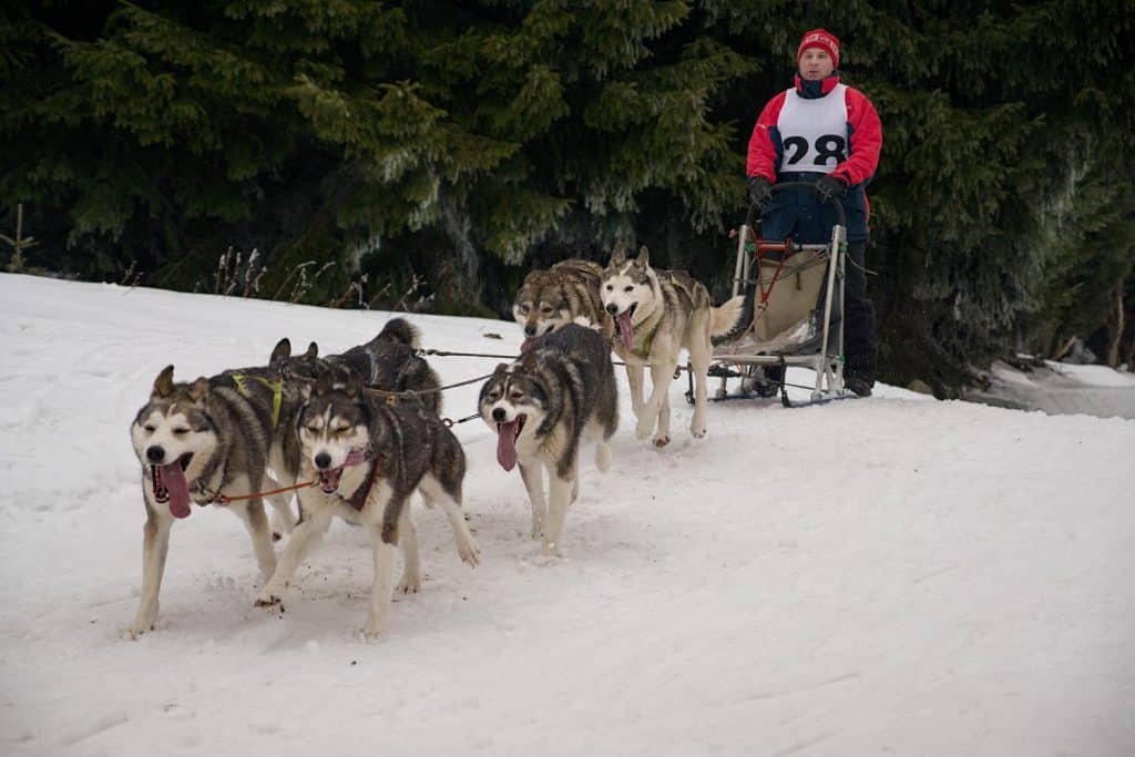 Photo Tripping America - Denali - Camping World