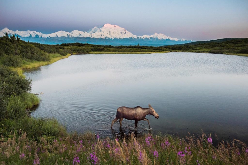 Photo Tripping America - Denali - Camping World