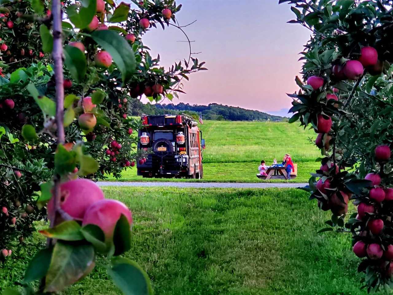 prepare-Wrights Farm apples