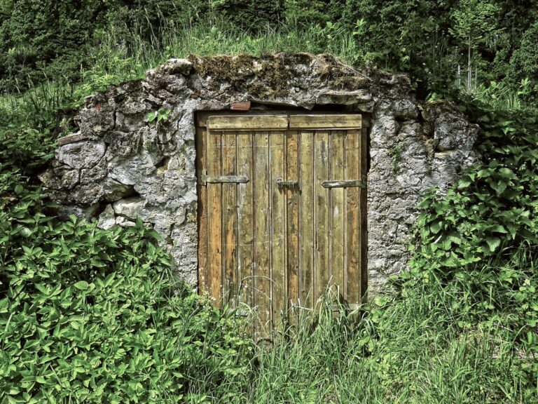 root cellar