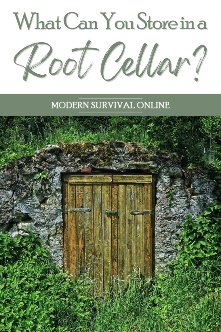 root cellar storage pinterest