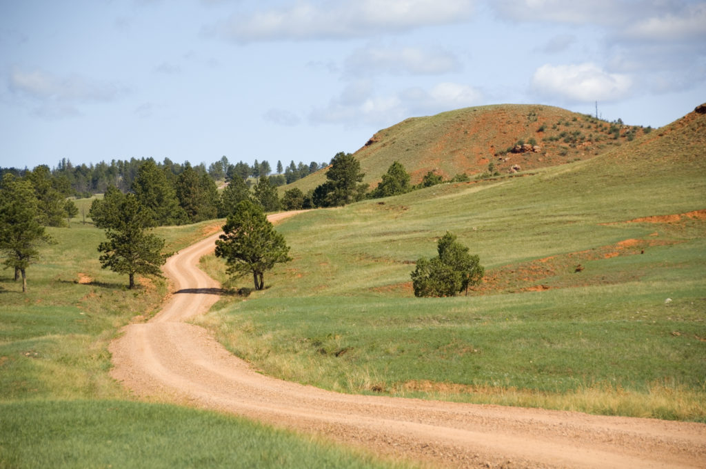 Winding Road in Wind Cave National Park