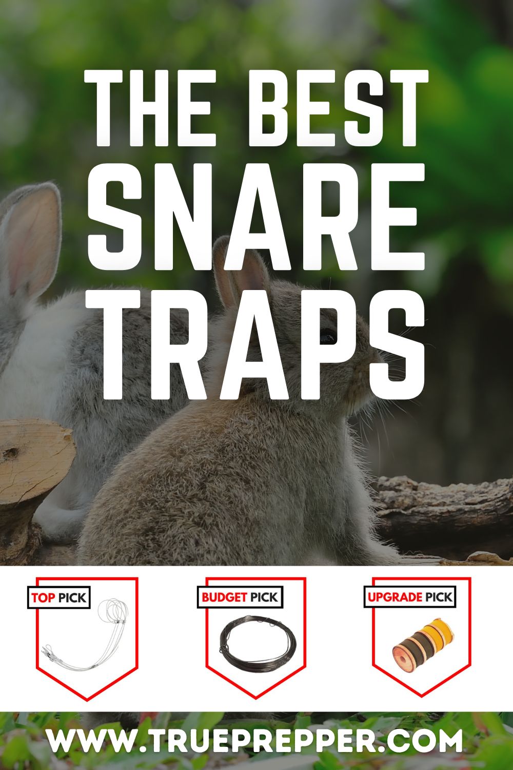 The Best Snare Wire Traps