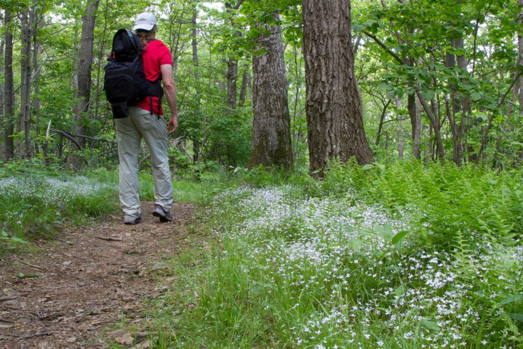 Photo Tripping America - Shenandoah - Camping World