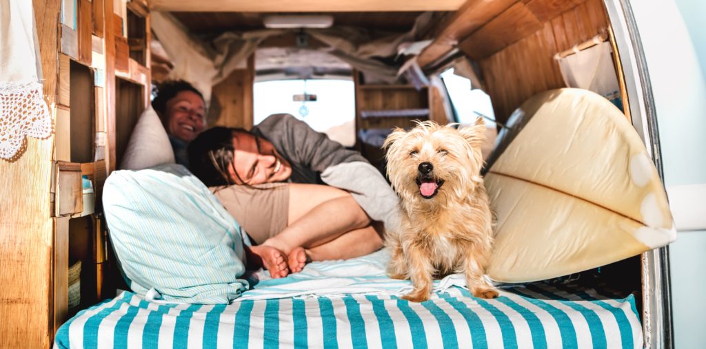 Summer RVing with Pet