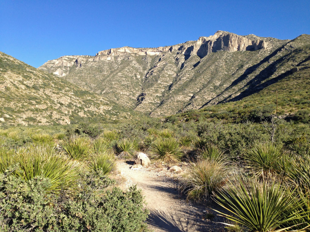McKittrick Canyon in Guadalupe Mountains National Park