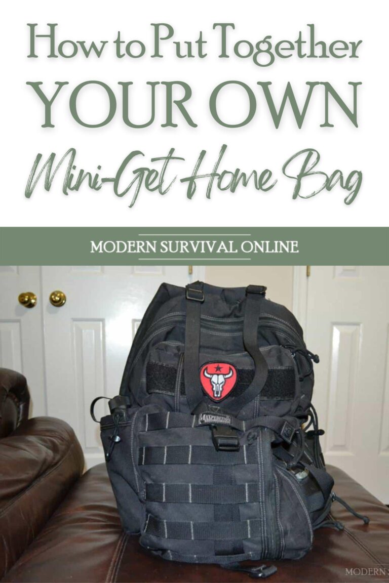 mini-get home bag pinterest