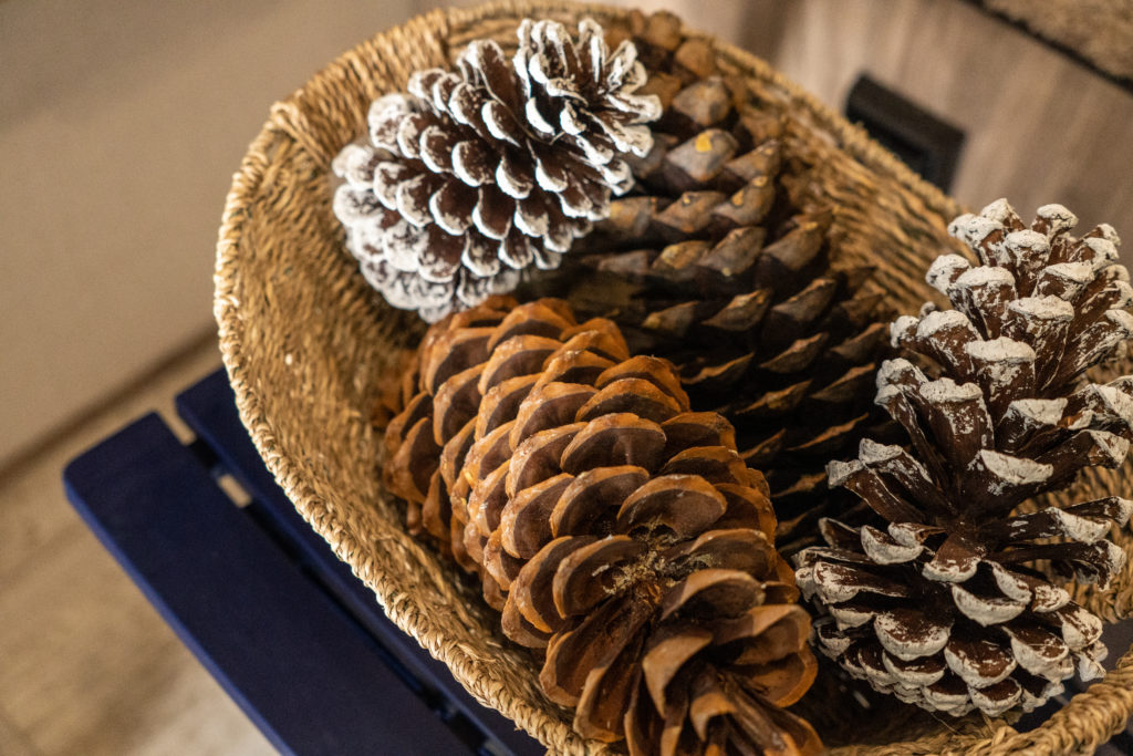 Basket of Pine Cones