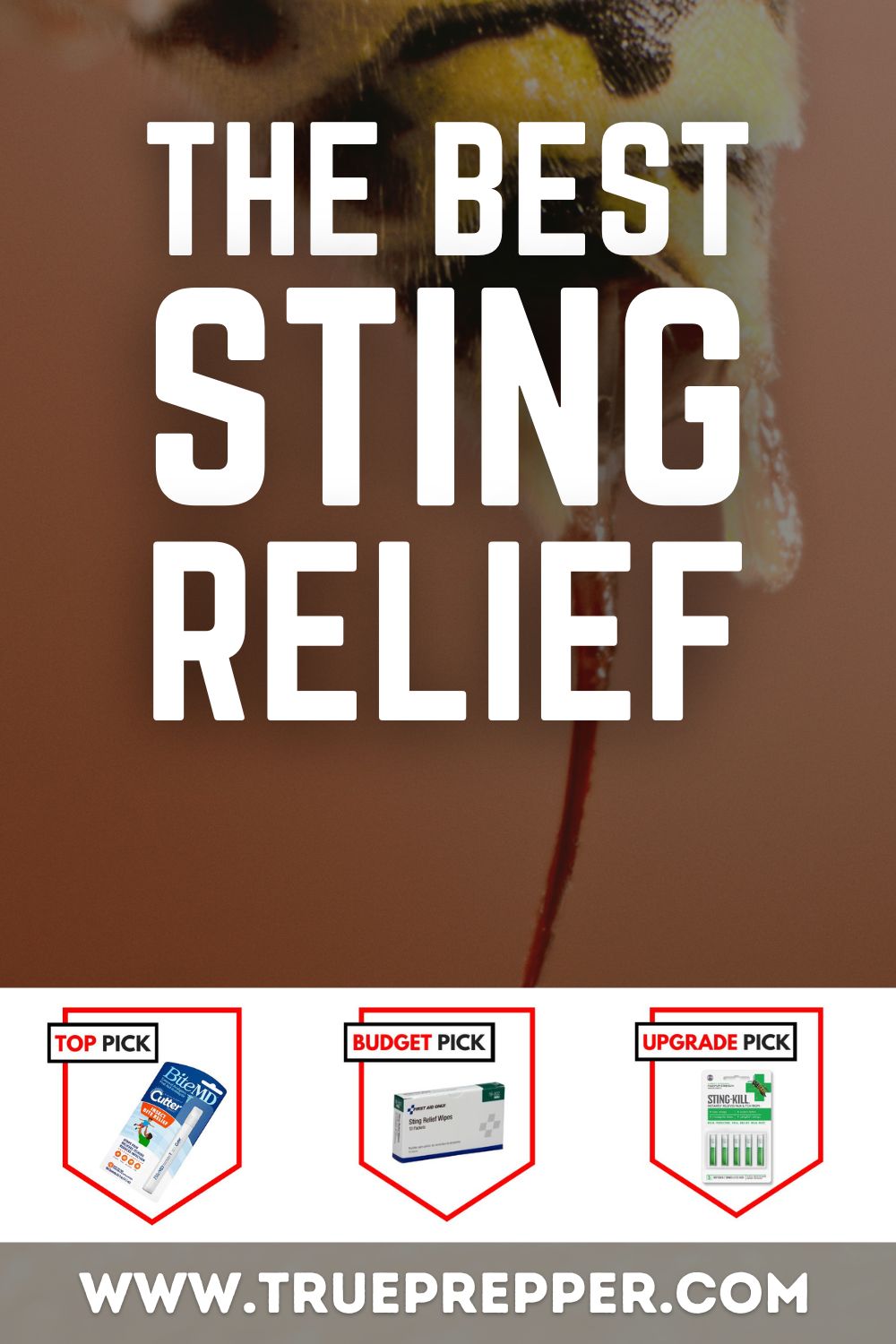 The Best Sting Relief