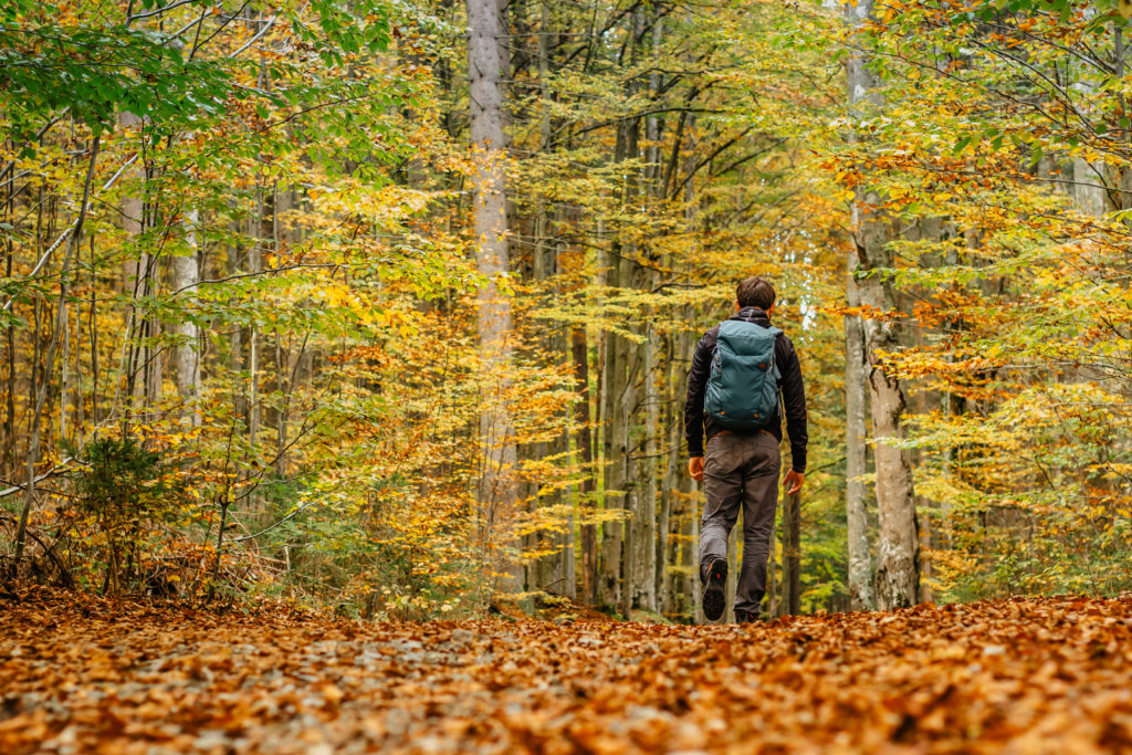 Man Hiking in Fall Foliage
