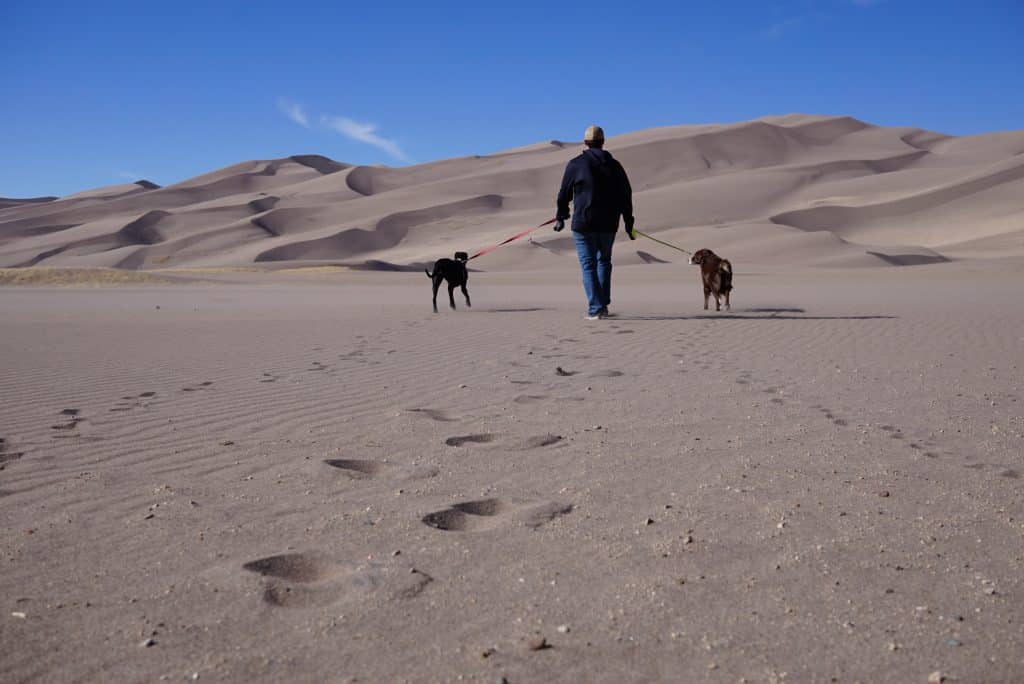 pets-rving-great-sand-dunes-national-park-09-2022