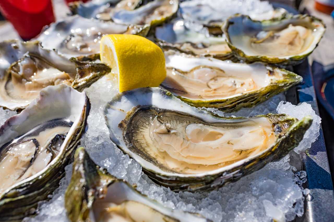 Half shell shucked oysters on a bed of ice.