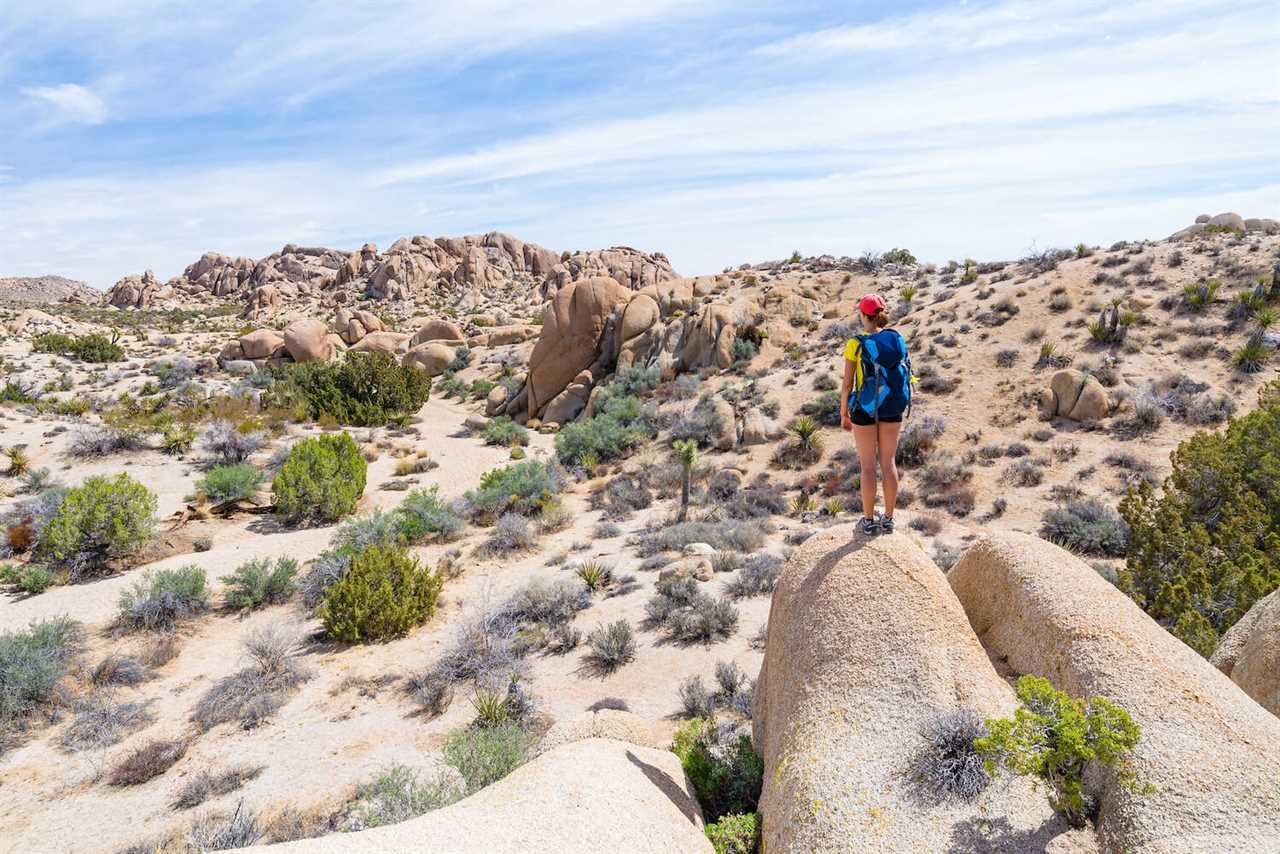 summer-rving-joshua-tree-national-park-09-2022 