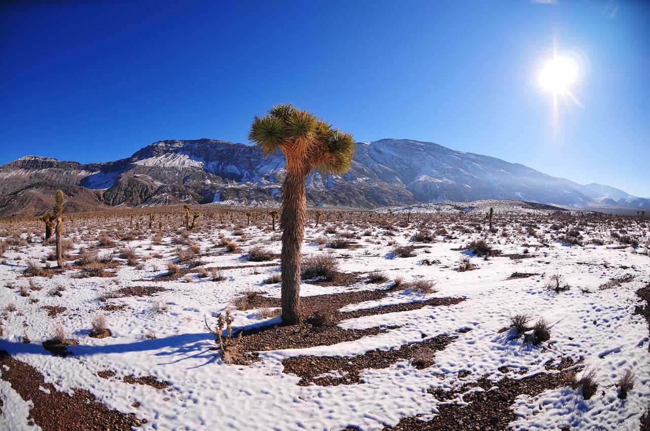 winter-rving-joshua-tree-national-park-09-2022 