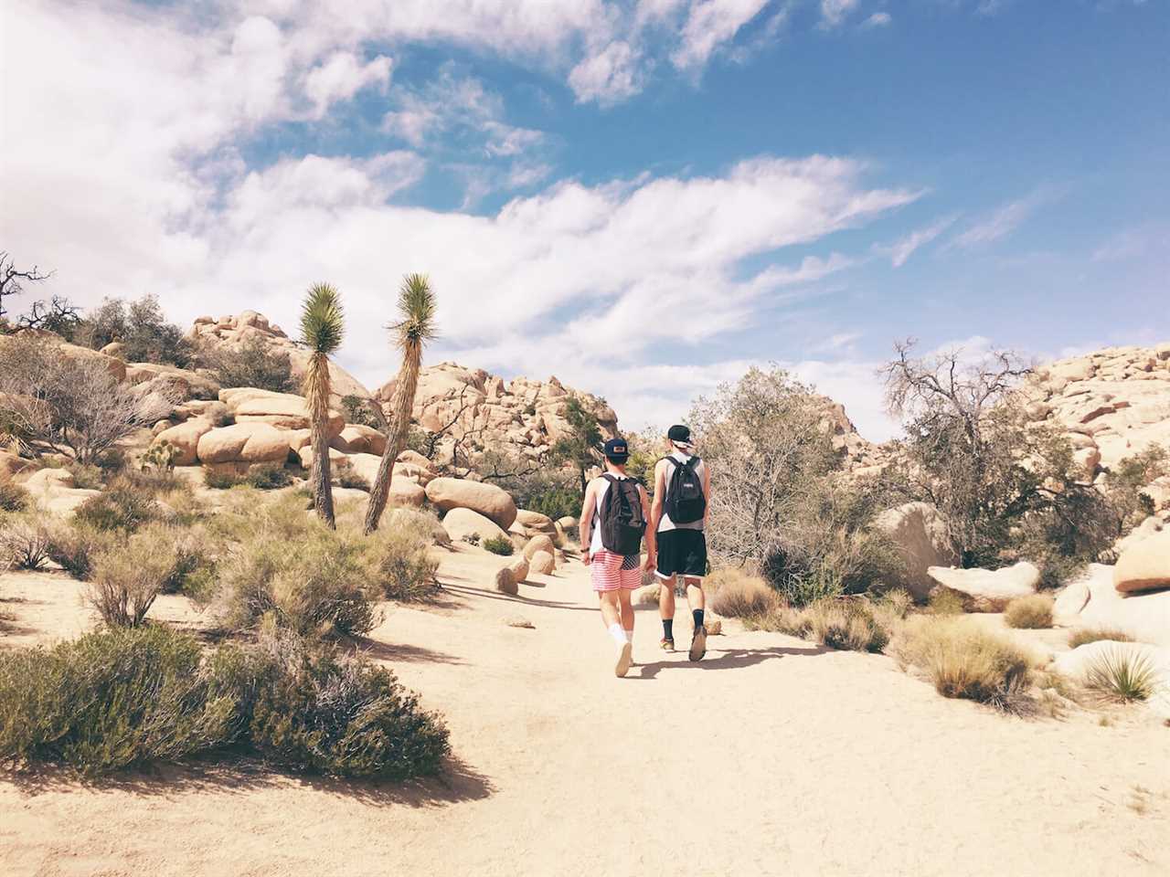 hiking-rving-joshua-tree-national-park-09-2022 